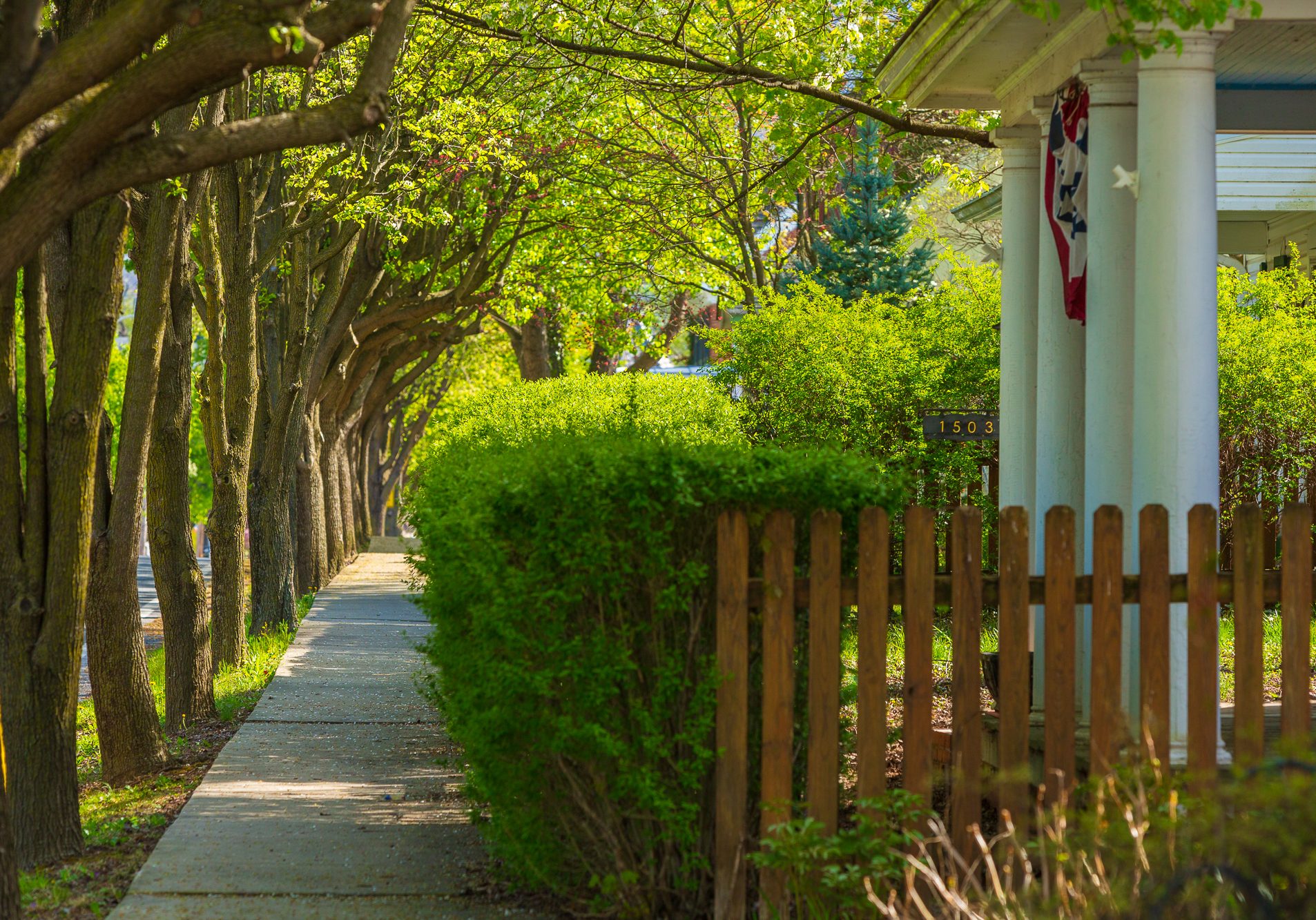 sidewalk-shot